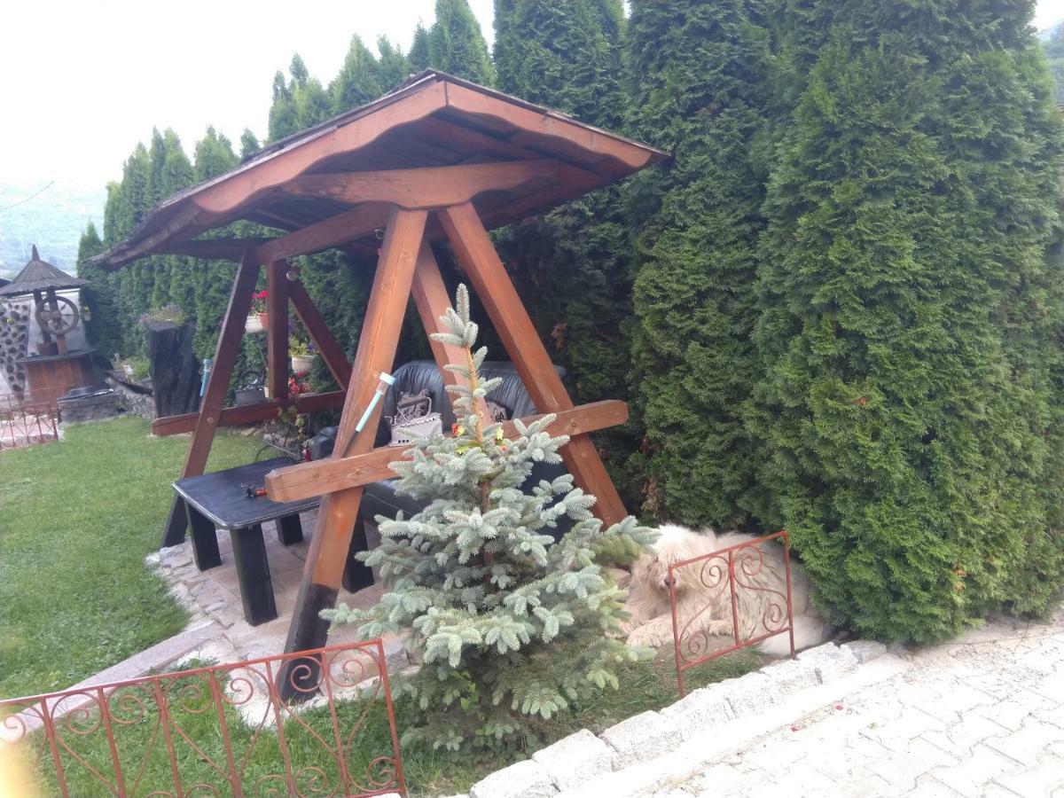Pensiunea Mallorca Vişeu de Sus Exterior foto